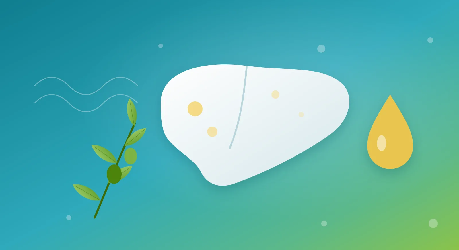 Illustratie van een gestileerde lever omringd door olijfolie, vette vis, peulvruchten, noten en kleurrijke groenten op een turquoise en groene achtergrond
