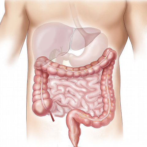 Gastro-intestinaal